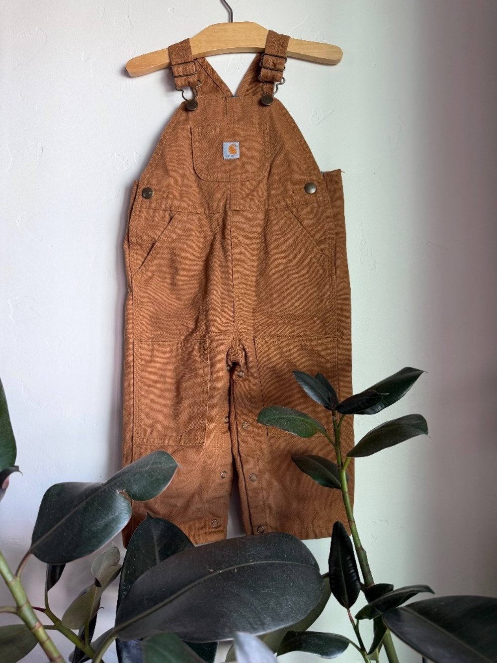 Carhartt lined overalls